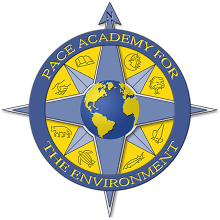 Pace Academy For The Environment